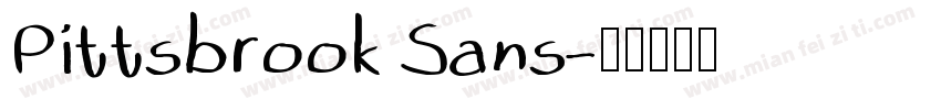 Pittsbrook Sans字体转换